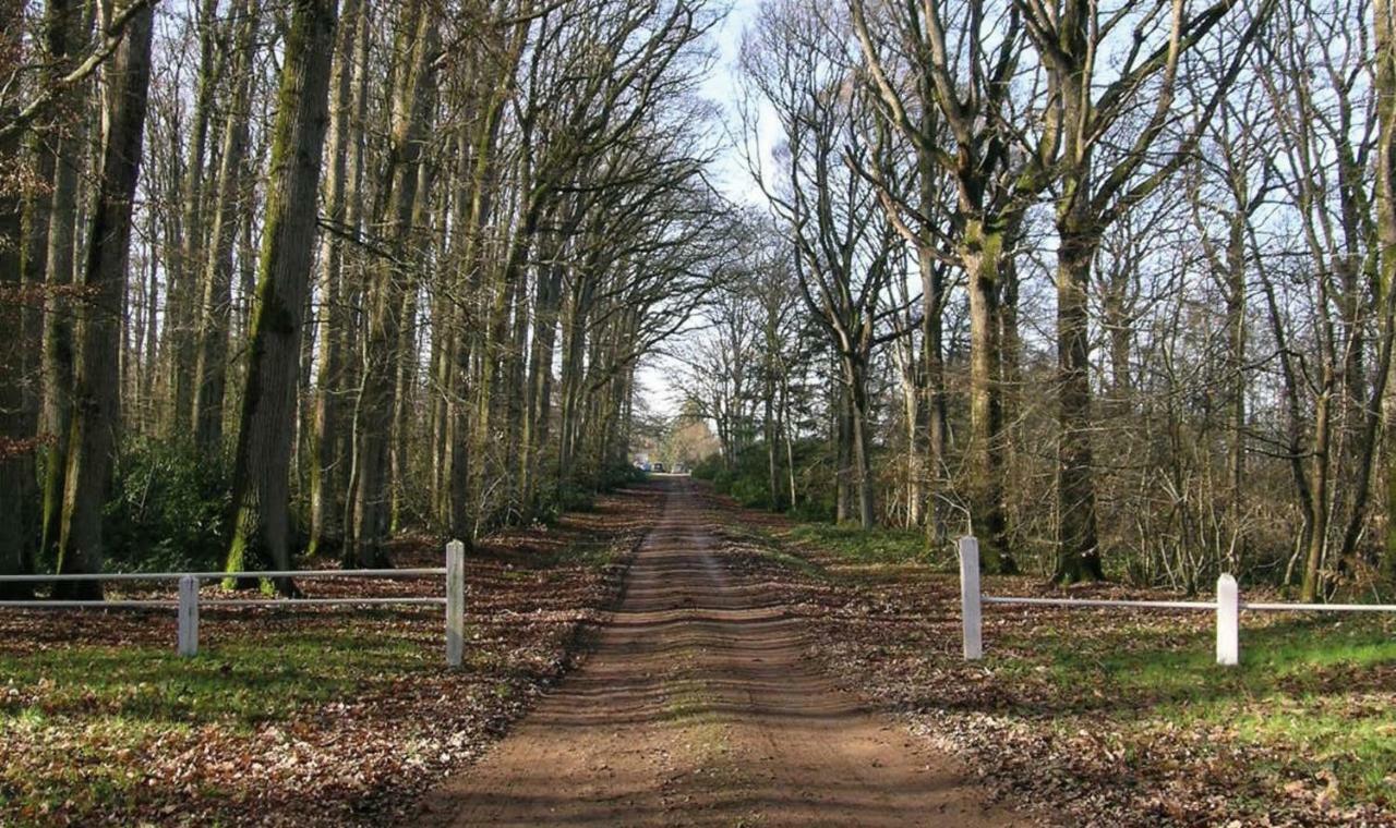 Domaine De La Haute-Porte Souvigné-sur-Sarthe Kültér fotó